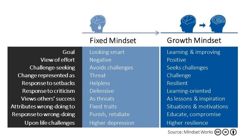 growth mindset, professional development